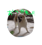 ちくパイセンと仲間たち（個別スタンプ：10）