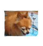 ちくパイセンと仲間たち（個別スタンプ：19）