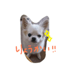 ちくパイセンと仲間たち（個別スタンプ：21）
