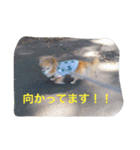 ちくパイセンと仲間たち（個別スタンプ：22）