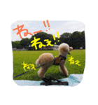 ちくパイセンと仲間たち（個別スタンプ：23）