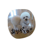 ちくパイセンと仲間たち（個別スタンプ：27）