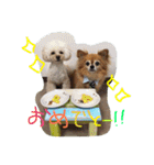 ちくパイセンと仲間たち（個別スタンプ：37）