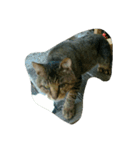 stray cat .he is NYANGOROW（個別スタンプ：19）