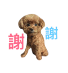 Samuel's Life（個別スタンプ：1）