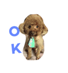 Samuel's Life（個別スタンプ：2）