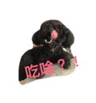 Samuel's Life（個別スタンプ：3）