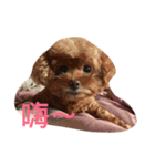 Samuel's Life（個別スタンプ：4）