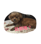 Samuel's Life（個別スタンプ：5）
