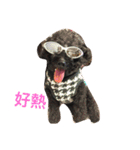 Samuel's Life（個別スタンプ：12）