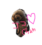 モカココ（個別スタンプ：1）
