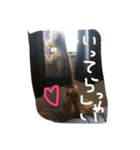 モカココ（個別スタンプ：5）