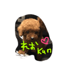 モカココ（個別スタンプ：6）