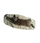 白いのとガーゴイリング（個別スタンプ：2）