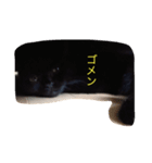 黒猫 しょこらさん（個別スタンプ：4）