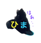 ぽこぽむの優雅な日常（個別スタンプ：7）