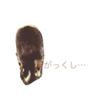 まろ眉チワワのぴーす（個別スタンプ：4）