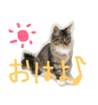 池田家の愉快な仲間達（個別スタンプ：30）