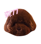 My sweet momo（個別スタンプ：3）
