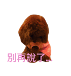 My sweet momo（個別スタンプ：4）