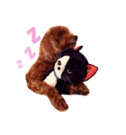 My sweet momo（個別スタンプ：5）