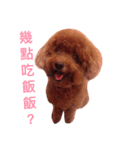 My sweet momo（個別スタンプ：6）