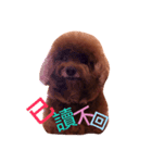 My sweet momo（個別スタンプ：7）