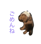 くるみちゃんのほほんlife（個別スタンプ：3）