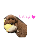 くるみちゃんのほほんlife（個別スタンプ：5）