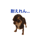 tarowith...3（個別スタンプ：4）