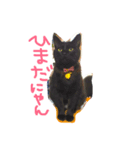 可愛い黒猫クロちゃん（個別スタンプ：2）