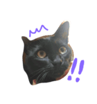 可愛い黒猫クロちゃん（個別スタンプ：6）