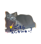 可愛い黒猫クロちゃん（個別スタンプ：8）