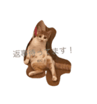 可愛い子猫♡びすけちゃん（個別スタンプ：4）