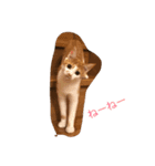 可愛い子猫♡びすけちゃん（個別スタンプ：19）
