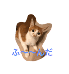 可愛い子猫♡びすけちゃん（個別スタンプ：28）