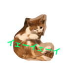 可愛い子猫♡びすけちゃん（個別スタンプ：29）