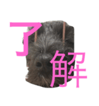ダリオの日常（個別スタンプ：7）