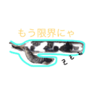 私の猫と犬（個別スタンプ：2）