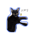 私の猫と犬（個別スタンプ：15）