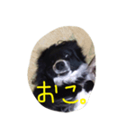 れいくんのスタンプ（個別スタンプ：5）
