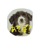れいくんのスタンプ（個別スタンプ：6）