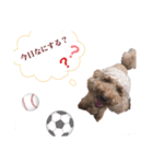 toichan3（個別スタンプ：6）