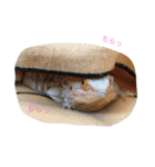 フトアゴのレーズン（個別スタンプ：7）