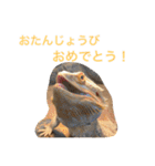 フトアゴのレーズン（個別スタンプ：22）