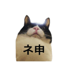 はちわれのふぶきさん（個別スタンプ：4）