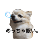 我が家のれのん（個別スタンプ：6）
