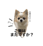 我が家のれのん（個別スタンプ：17）