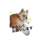 我が家のれのん（個別スタンプ：20）