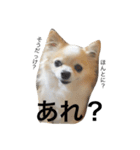 我が家のれのん（個別スタンプ：23）